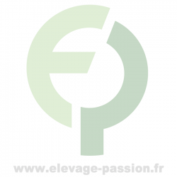 Tête de tonte Xpert ovin complète